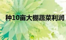 种10亩大棚蔬菜利润 种10亩大棚菜投资多少 