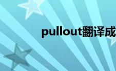 pullout翻译成中文 pullout 