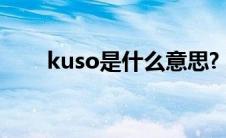 kuso是什么意思? kuso是什么意思 