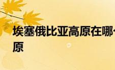 埃塞俄比亚高原在哪个大洲上 埃塞俄比亚高原 