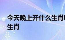 今天晚上开什么生肖呢澳门 今天晚上开什么生肖 