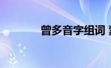 曾多音字组词 蒙多音字组词 