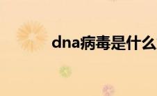 dna病毒是什么意思 dna病毒 