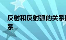 反射和反射弧的关系图示 反射和反射弧的关系 