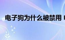 电子狗为什么被禁用 电子狗为什么不让用 