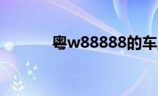 粤w88888的车主 粤w88888 