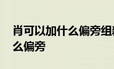 肖可以加什么偏旁组新字再组词 肖可以加什么偏旁 