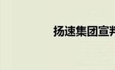 扬速集团宣判 扬速集团 