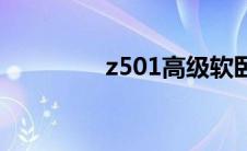 z501高级软卧图片 z501 