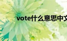 vote什么意思中文 vote什么意思 