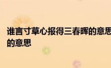 谁言寸草心报得三春晖的意思一年级 谁言寸草心报得三春晖的意思 