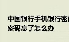 中国银行手机银行密码忘了怎么办 手机银行密码忘了怎么办 