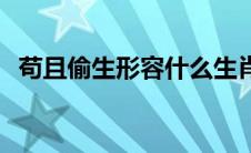 苟且偷生形容什么生肖 苟且偷生打一生肖 