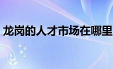 龙岗的人才市场在哪里 龙岗有哪些人才市场 