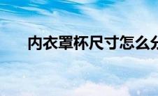 内衣罩杯尺寸怎么分 内衣罩杯怎么算 