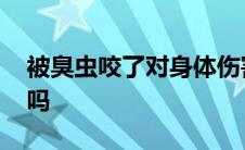 被臭虫咬了对身体伤害有多大 被臭虫咬有毒吗 