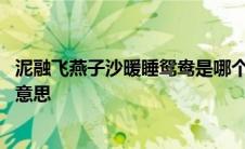 泥融飞燕子沙暖睡鸳鸯是哪个季节 泥融飞燕子沙暖睡鸳鸯的意思 