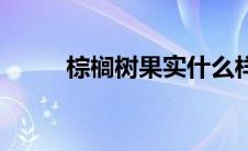 棕榈树果实什么样子 棕榈树果实 