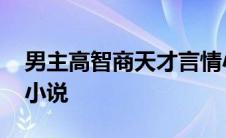 男主高智商天才言情小说 男主是高智商天才小说 