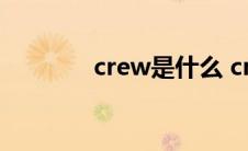 crew是什么 crew什么意思 