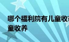 哪个福利院有儿童收养中心 哪个福利院有儿童收养 