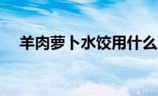 羊肉萝卜水饺用什么萝卜 羊肉萝卜水饺 