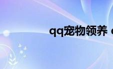 qq宠物领养 qq宠物送信 