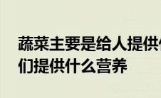 蔬菜主要是给人提供什么作用 蔬菜主要向人们提供什么营养 