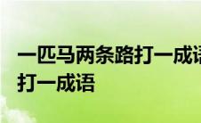 一匹马两条路打一成语是什么? 一匹马两条路打一成语 