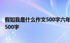 假如我是什么作文500字六年级只写一种 假如我是什么作文500字 