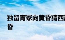 独留青冢向黄昏猜西游记人名 独留青冢向黄昏 