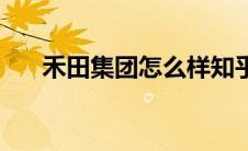 禾田集团怎么样知乎 禾田集团怎么样 