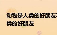 动物是人类的好朋友写一句宣传语 动物是人类的好朋友 