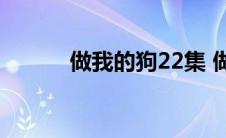 做我的狗22集 做我的狗百度云 