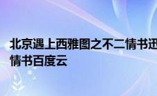 北京遇上西雅图之不二情书迅雷下载 北京遇上西雅图之不二情书百度云 