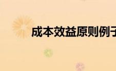 成本效益原则例子 成本效益原则 