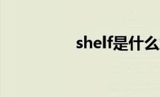 shelf是什么意思 shelf 