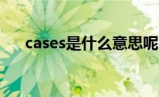 cases是什么意思呢 cases是什么意思 