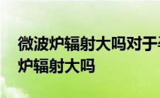 微波炉辐射大吗对于孕妇来说有影响吗 微波炉辐射大吗 