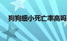 狗狗细小死亡率高吗 狗狗细小死前征兆 