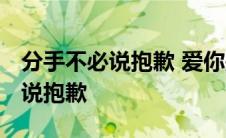 分手不必说抱歉 爱你是我心甘情愿 分手不必说抱歉 