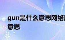 gun是什么意思网络用语 gun在聊天中什么意思 