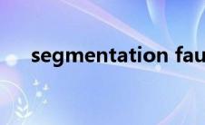 segmentation fault segmentation 