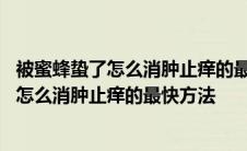 被蜜蜂蛰了怎么消肿止痒的最快方法幸福三重奏 被蜜蜂蛰了怎么消肿止痒的最快方法 