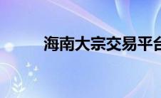 海南大宗交易平台官网 海南大宗 