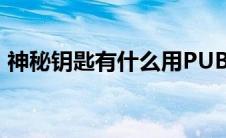 神秘钥匙有什么用PUBG 神秘钥匙有什么用 