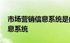 市场营销信息系统是由什么构成 市场营销信息系统 