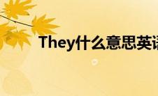 They什么意思英语 they什么意思 