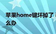 苹果home键坏掉了 iphonehome键坏了怎么办 