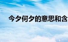 今夕何夕的意思和含义 今夕何朝的意思 